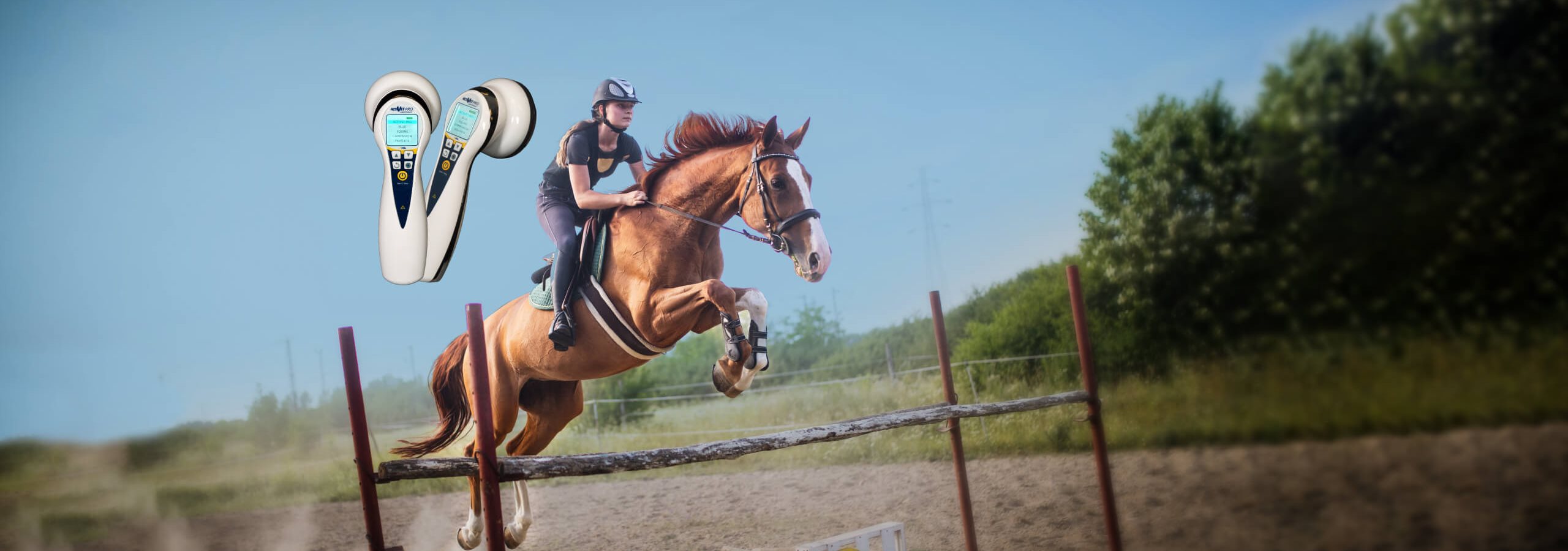 Introducing the New ACTIVet Pro LaserShower