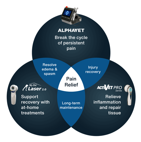 Veterinary Laser Therapy Continuum of Care